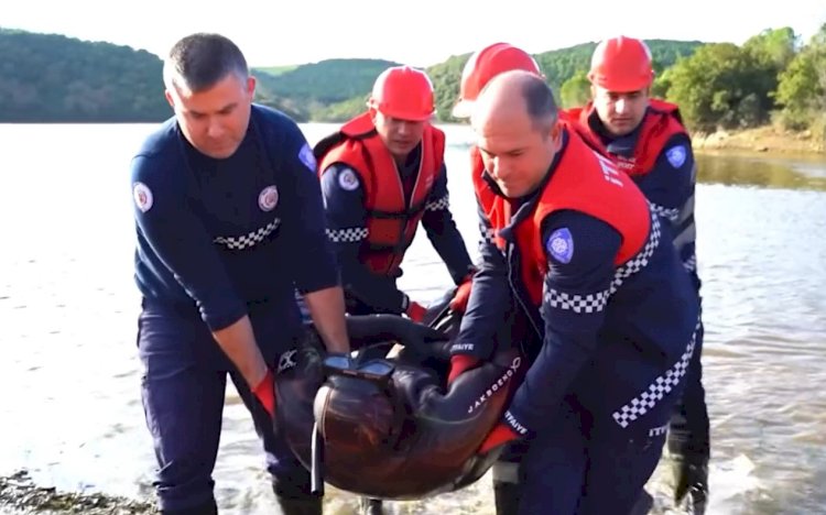 Filmleri aratmayan tatbikat