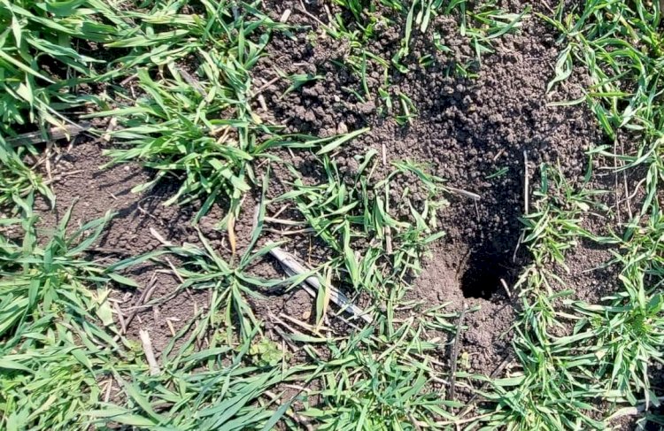 “Tarlalarınızı kontrol edin”