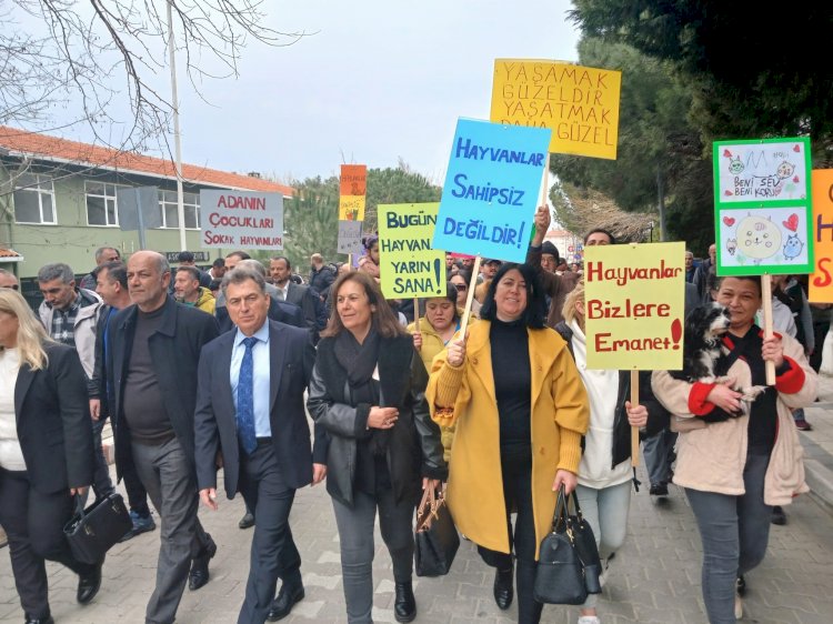 Gökçeada’da hayvanseverlerden sert tepki