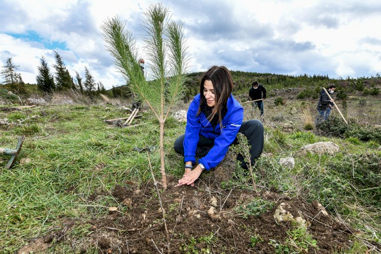 Enerjisa Üretim fidanları toprakla buluşturuyor