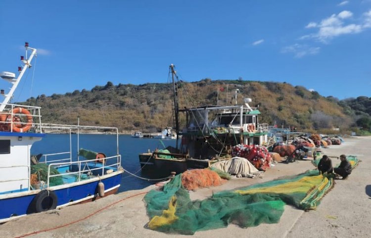 Ezine İlçe Tarım Müdürlüğü’nden Kıyı Balıkçılığına Ek Müsilaj Desteği Duyurusu